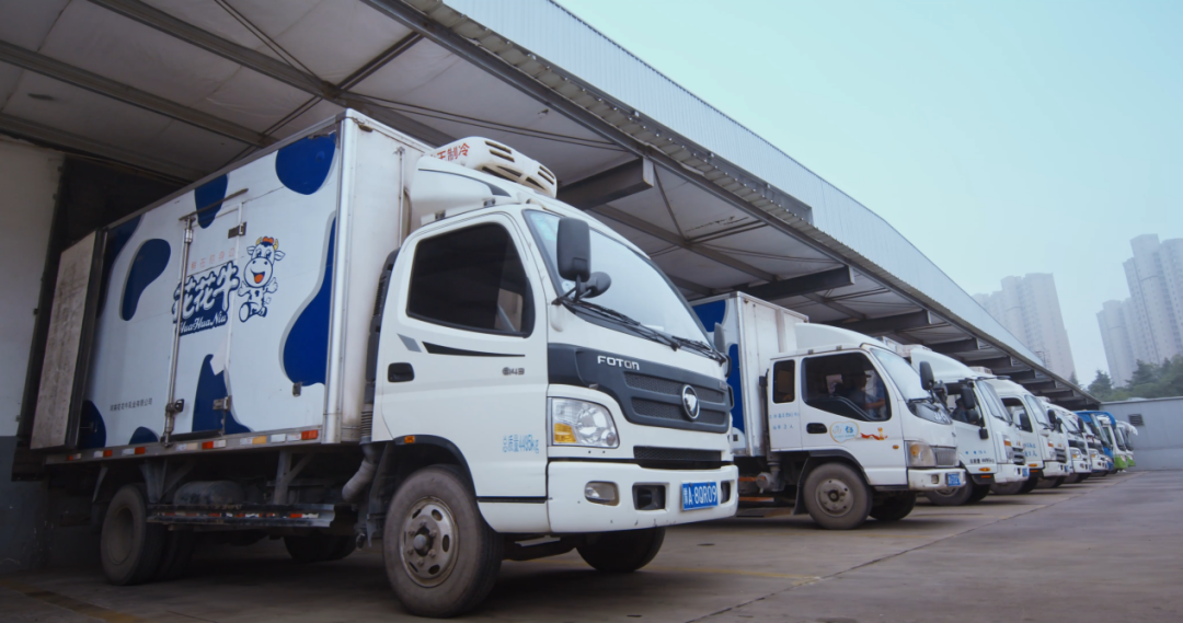 花花牛丨北京家音順達蒞臨花花牛乳業集團參觀訪談 花花牛丨北京家音順達蒞臨花花牛乳業集團參觀訪談