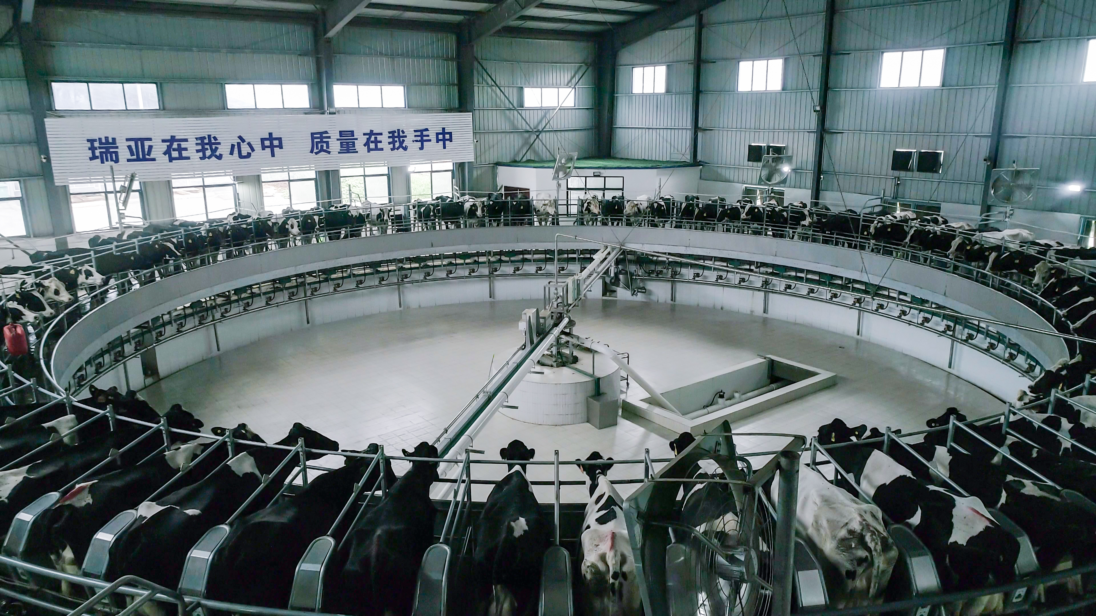 河南省人大常委會(huì)黨組書記、副主任孔昌生蒞臨花花牛魯山瑞亞牧場(chǎng)參觀調(diào)研 河南省人大常委會(huì)黨組書記、副主任孔昌生蒞臨花花牛魯山瑞亞牧場(chǎng)參觀調(diào)研