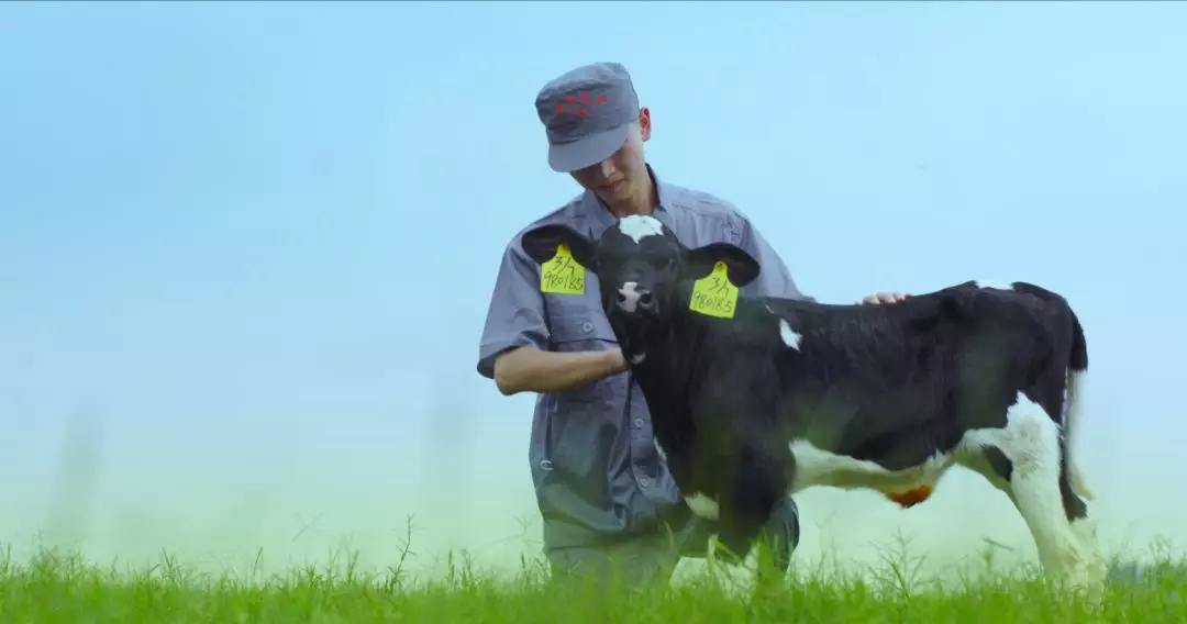 河南省人大常委會(huì)黨組書記、副主任孔昌生蒞臨花花牛魯山瑞亞牧場(chǎng)參觀調(diào)研 河南省人大常委會(huì)黨組書記、副主任孔昌生蒞臨花花牛魯山瑞亞牧場(chǎng)參觀調(diào)研