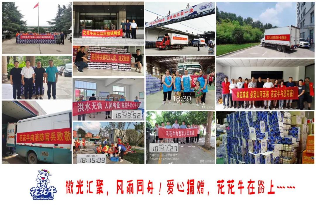 【乳報·聚焦】“豫”難而上的中原牛人“太中了”！