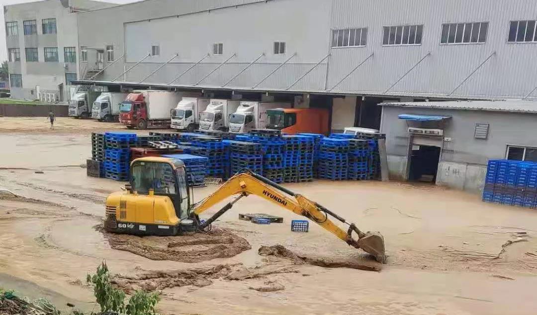 【乳報·聚焦】“豫”難而上的中原牛人“太中了”！