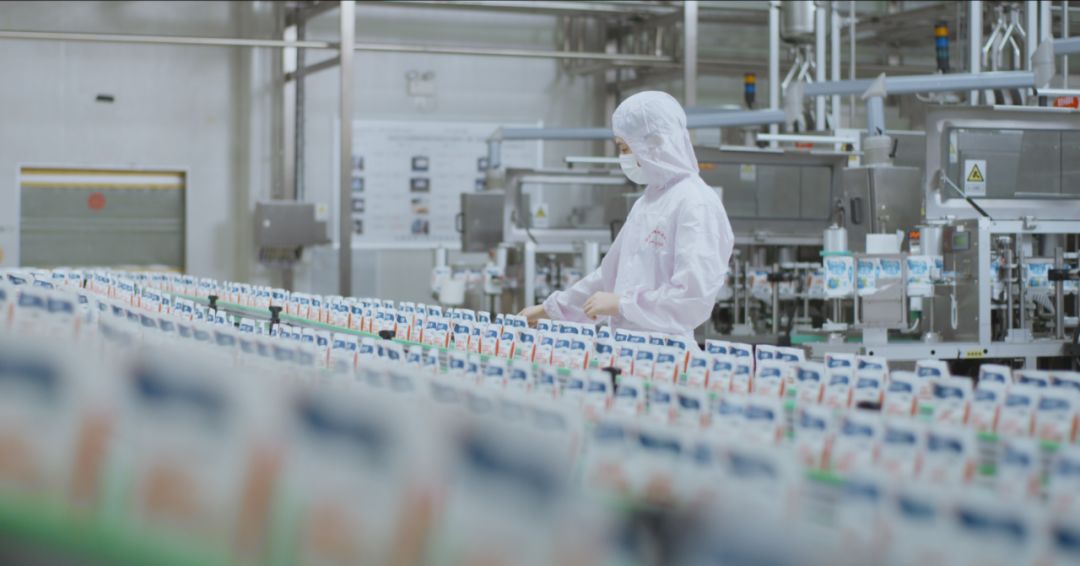 快訊 | 河南省人民政府食品安全委員會辦公室第三批食品安全示范區驗收組領導蒞臨花花牛乳業集團驗收食品安全示范區建設情況 快訊 | 河南省人民政府食品安全委員會辦公室第三批食品安全示范區驗收組領導蒞臨花花牛乳業集團驗收食品安全示范區建設情況