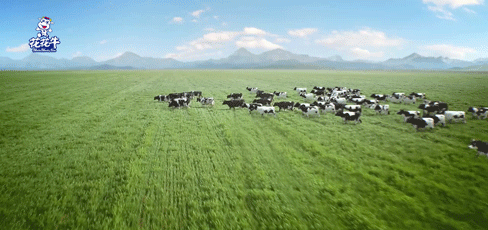 榮譽 | 2019年度河南省美麗牧場名單新鮮出爐 花花牛乳業集團旗下六個牧場榜上有名 榮譽 | 2019年度河南省美麗牧場名單新鮮出爐 花花牛乳業集團旗下六個牧場榜上有名