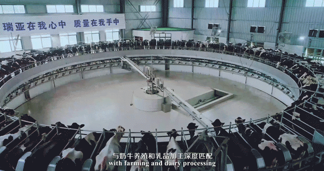 榮譽 | 2019年度河南省美麗牧場名單新鮮出爐 花花牛乳業集團旗下六個牧場榜上有名 榮譽 | 2019年度河南省美麗牧場名單新鮮出爐 花花牛乳業集團旗下六個牧場榜上有名