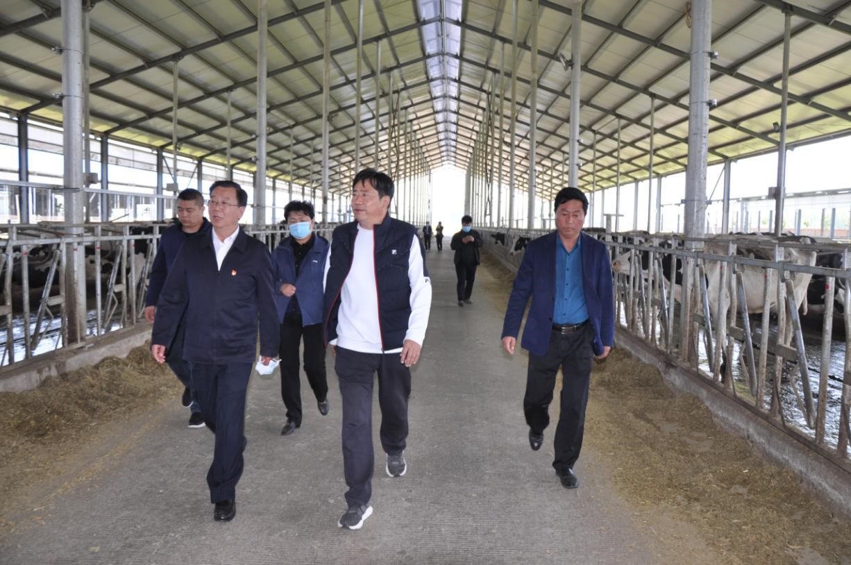 商丘市委常委、宣傳部部長王全周一行蒞臨睢縣瑞亞牧業有限公司調研