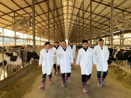 寧夏回族自治區(qū)農(nóng)業(yè)農(nóng)村廳黨組書記、廳長王剛一行蒞臨花花牛乳業(yè)集團調研 寧夏回族自治區(qū)農(nóng)業(yè)農(nóng)村廳黨組書記、廳長王剛一行蒞臨花花牛乳業(yè)集團調研