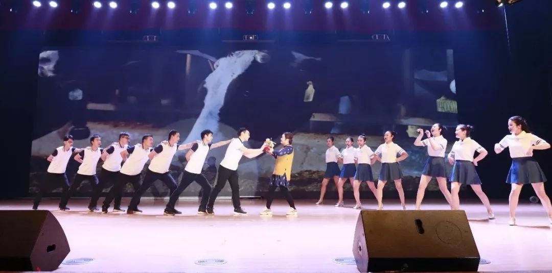 “贏在2019”，花花牛乳業集團2019年新春晚會盛大開幕