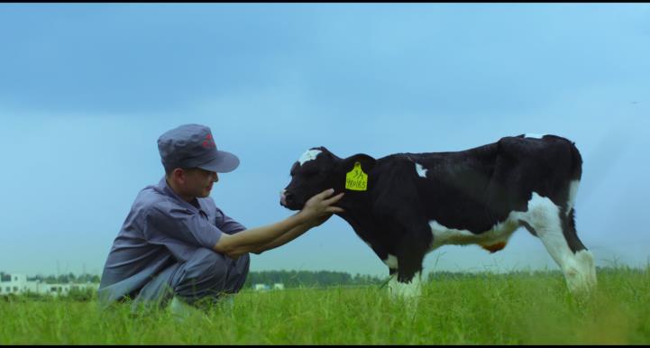又雙叒叕獲獎(jiǎng)啦!花花牛榮獲“乳品質(zhì)量安全管理 優(yōu)秀企業(yè)” 又雙叒叕獲獎(jiǎng)啦!花花牛榮獲“乳品質(zhì)量安全管理 優(yōu)秀企業(yè)”