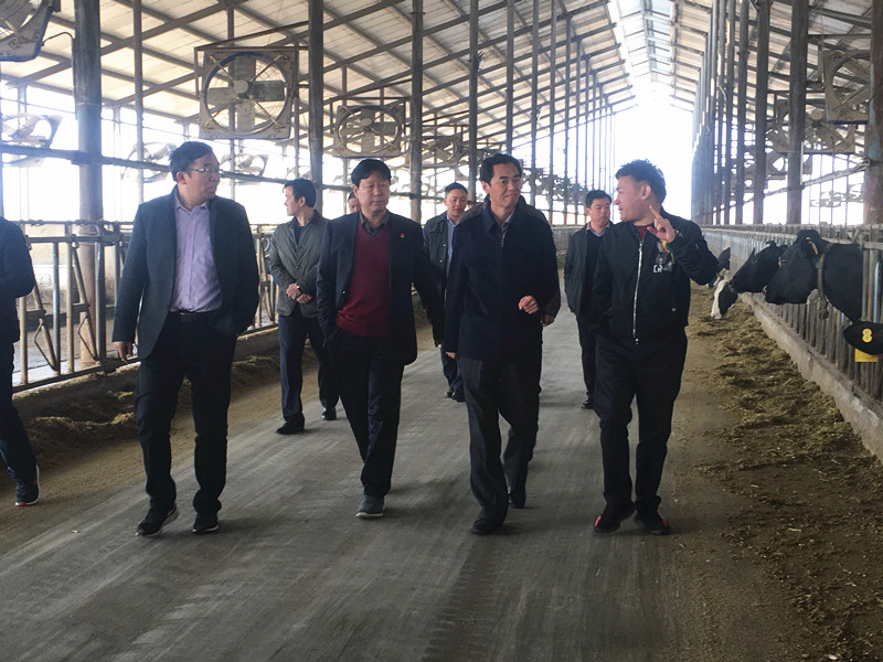 封丘縣縣長(zhǎng)王獻(xiàn)臣一行蒞臨 花花牛集團(tuán)養(yǎng)殖、乳品事業(yè)部參觀調(diào)研 封丘縣縣長(zhǎng)王獻(xiàn)臣一行蒞臨 花花牛集團(tuán)養(yǎng)殖、乳品事業(yè)部參觀調(diào)研