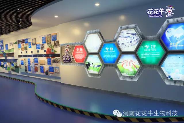 花花牛：務(wù)實、創(chuàng)新領(lǐng)潮市場 大企業(yè)體現(xiàn)大擔(dān)當(dāng)