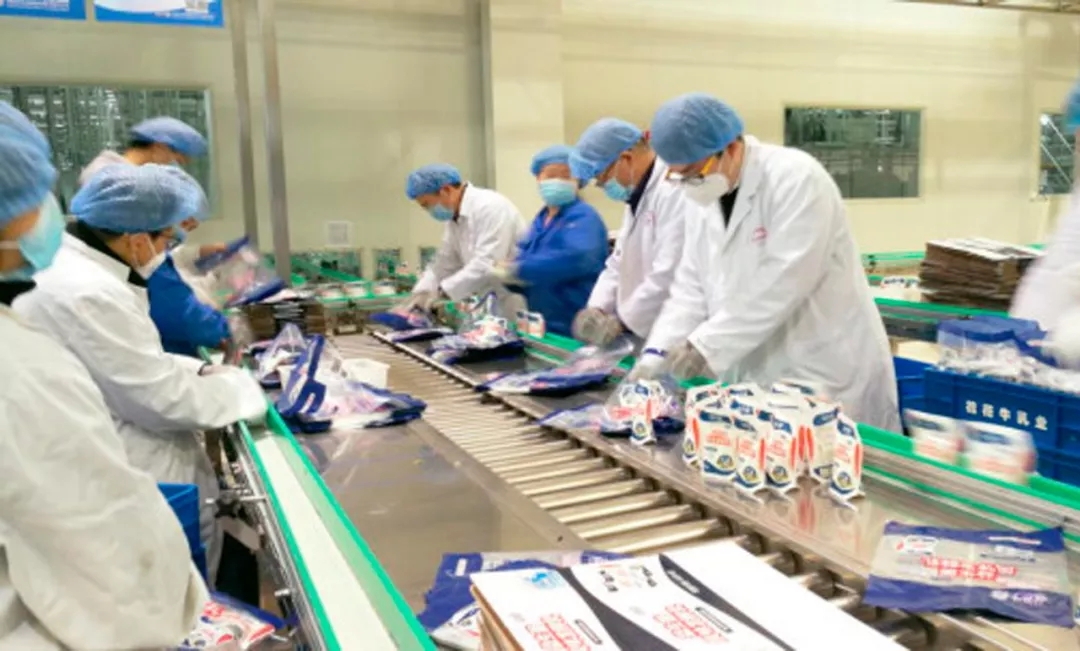 快訊丨河南省副省長武國定蒞臨花花牛乳業集團調研重點保障企業復工復產情況 快訊丨河南省副省長武國定蒞臨花花牛乳業集團調研重點保障企業復工復產情況